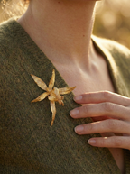 Broche Orquidea Brassia