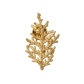 Broche Pin Hoja de Pino