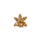 Broche pin orquídea Maxilaria oro 24k, flor natural transformada en metal, hecho a mano en Bogotá

