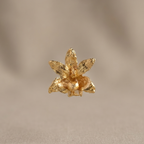 Broche pin orquídea Maxilaria oro 24k, flor natural transformada en metal, hecho a mano en Bogotá

