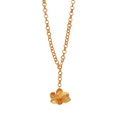Collar Eslabonado Orquidea Phalaenopsis Suculenta - Joyería Botánica | Liz de la Cruz