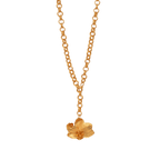 Collar Eslabonado Orquidea Phalaenopsis Suculenta - Joyería Botánica | Liz de la Cruz