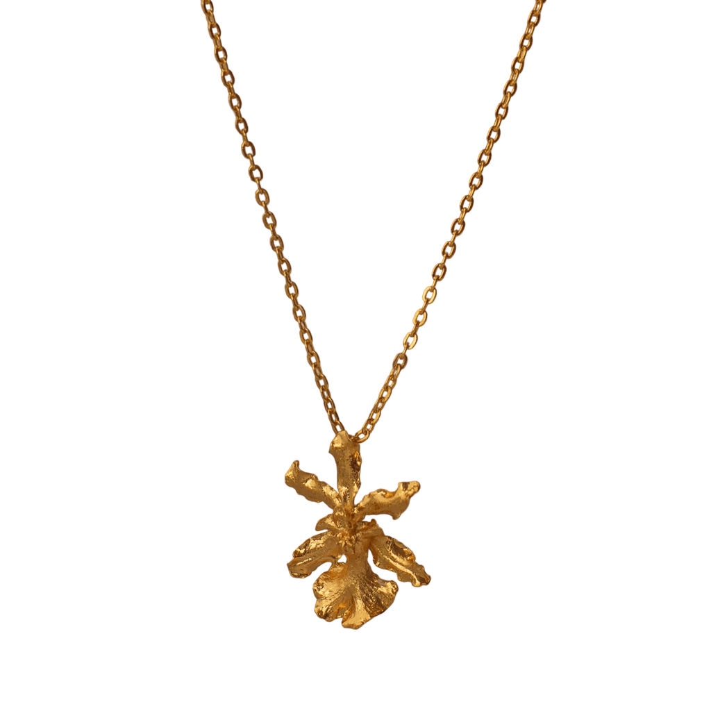 Collar Gargantilla Orquidea Chocolate - Joyería Botánica | Liz de la Cruz