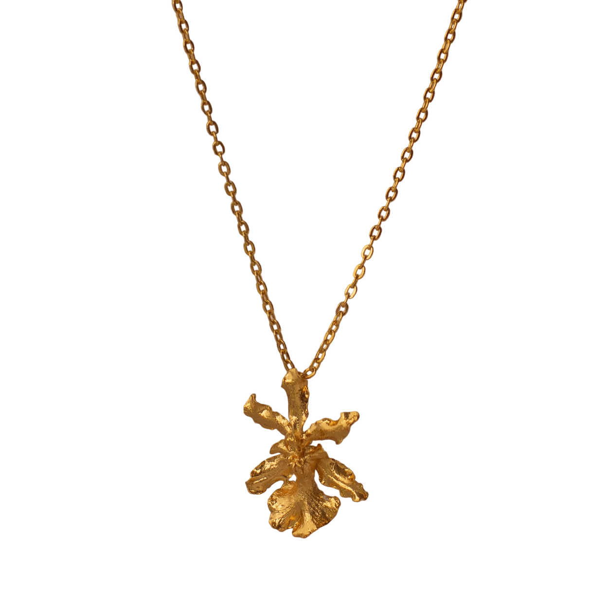 Collar Gargantilla Orquidea Chocolate - Joyería Botánica | Liz de la Cruz