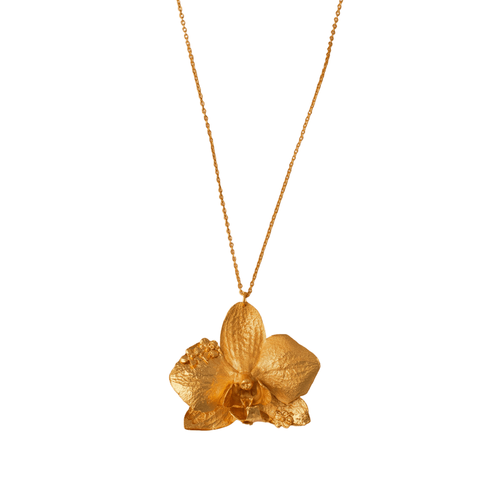 Collar Orquidea Phalaenopsis Sauco - Joyería Botánica | Liz de la Cruz