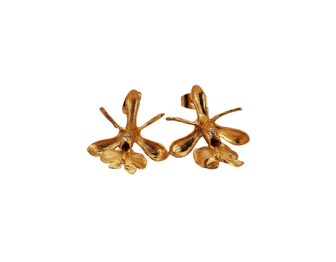 Aretes Topo Orquidea Epidendrum Capricornu