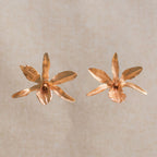 Aretes de orquidea lluvia de cereza en oro rosa