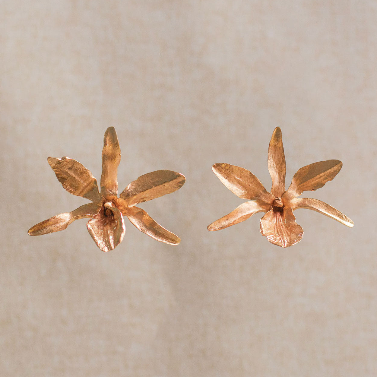 Aretes de orquidea lluvia de cereza en oro rosa