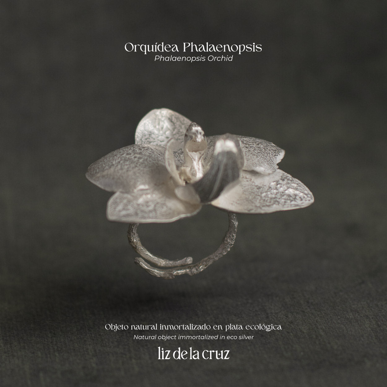 Anillo de orquídea phalaenopsis en plata ecológica, cada uno con una flor única del jardín de orquídeas, inmortalizada en metal resplandeciente