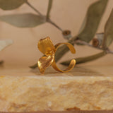 Anillo Eucalipto Inmortalizado