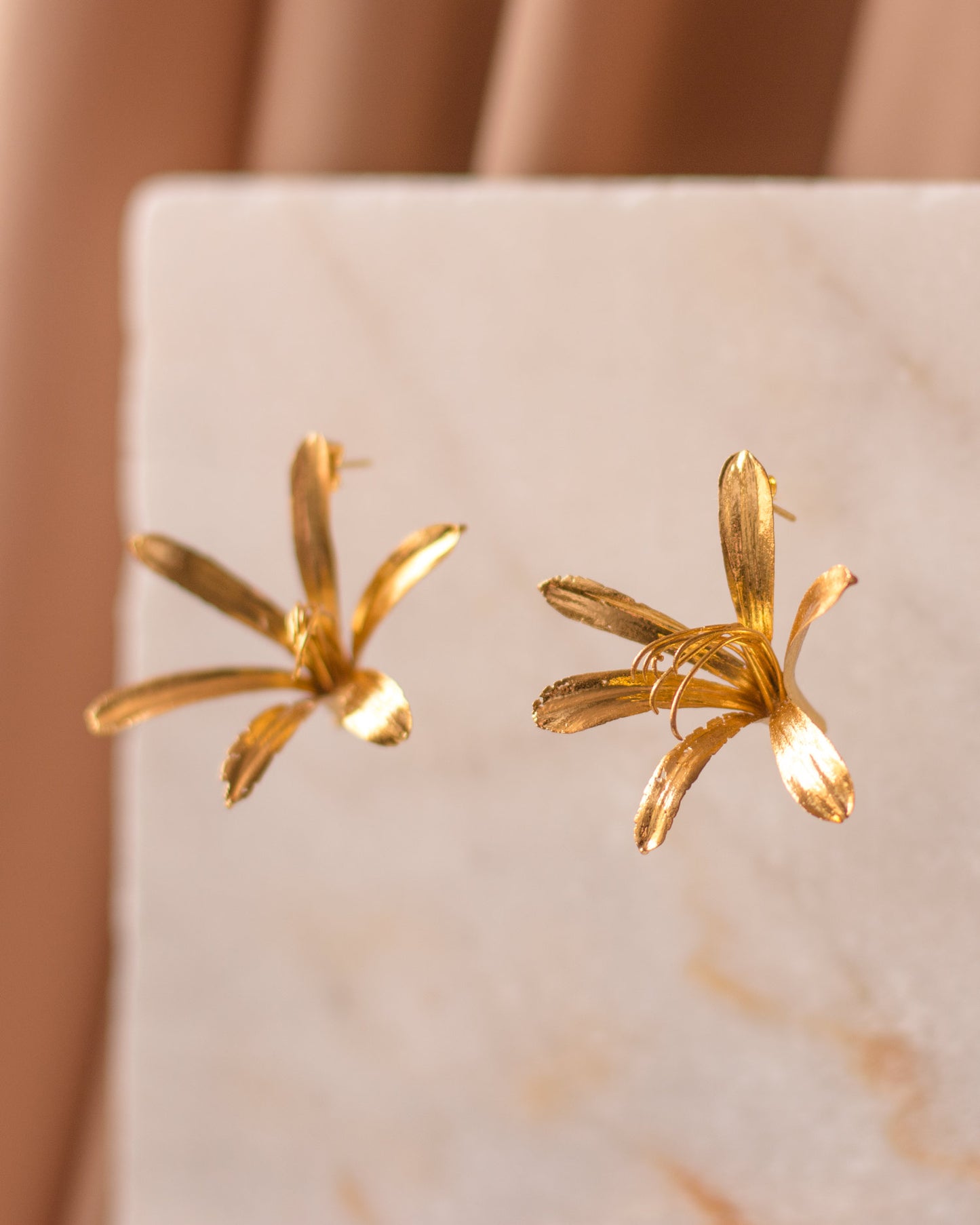 Aretes Topo Lirio Agapanto en bronce bañado en oro de 24k, destacando la belleza y singularidad de las flores naturales.