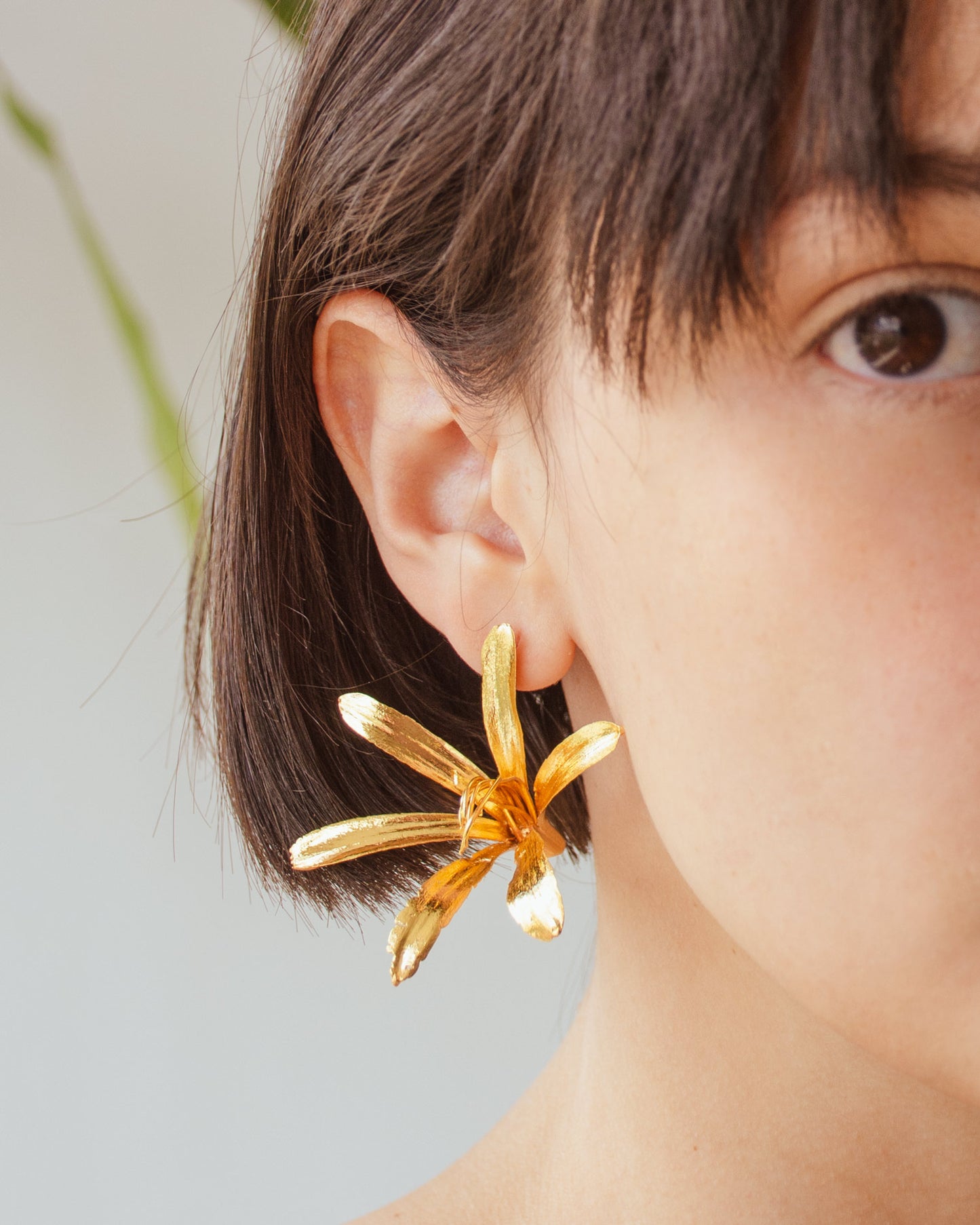 Aretes Topo Lirio Agapanto en bronce bañado en oro de 24k, destacando la belleza y singularidad de las flores naturales.