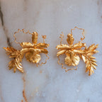 Aretes Orquidea Odontoglossum Romeron Enredadera