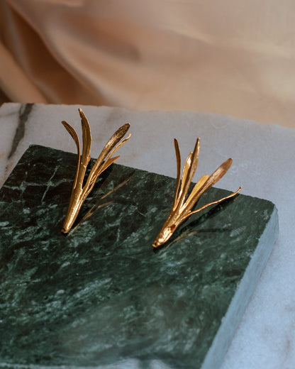 Aretes Topo Lirio Agapanto en bronce bañado en oro de 24k, destacando la belleza y singularidad de las flores naturales.