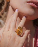 Anillo Luffa Estropajo Redondo
