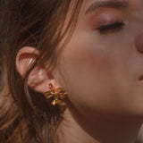 Aretes Topo Orquidea Oncidium