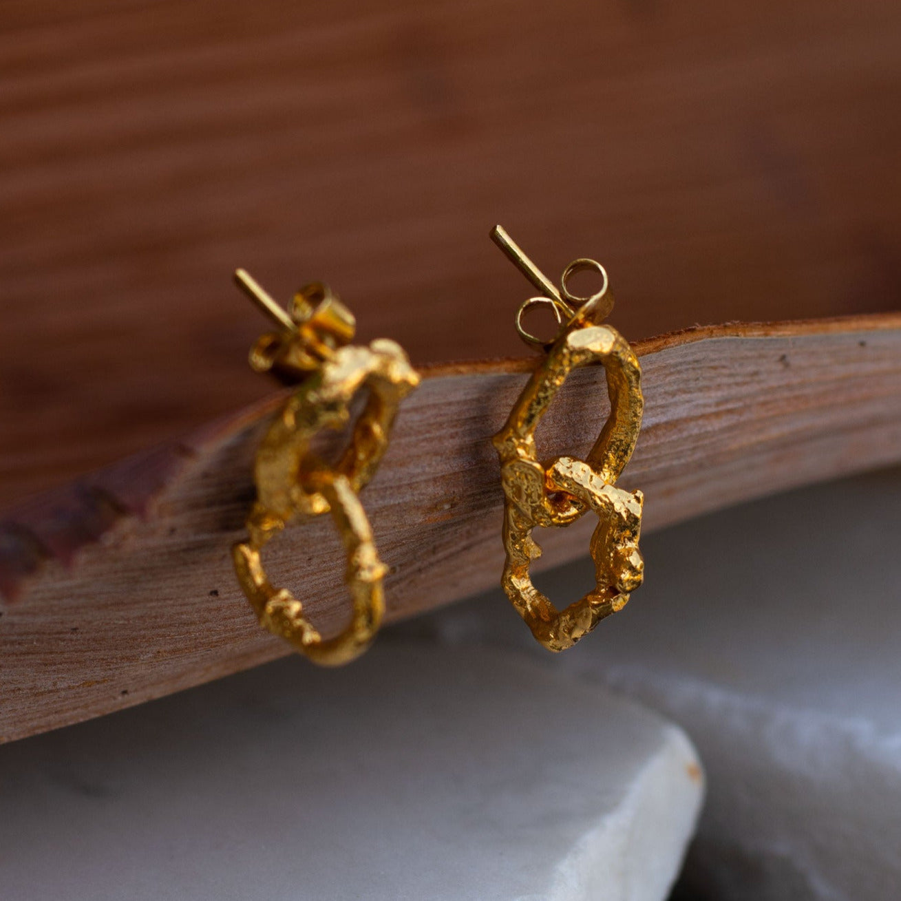 Aretes Dos Aros Ramita Palma Pq